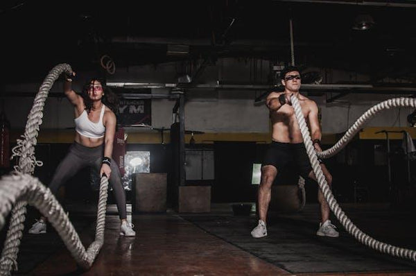 Crafting Effective Training Routines with Trenniekspert's Experts