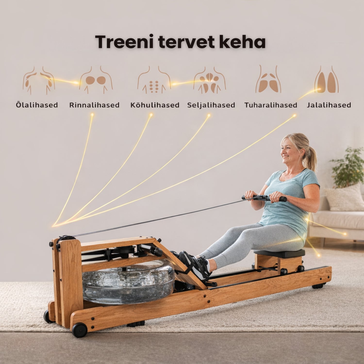 Evolve veega sõudeergomeeter kokkupandav, LCD konsooliga - Trenniekspert