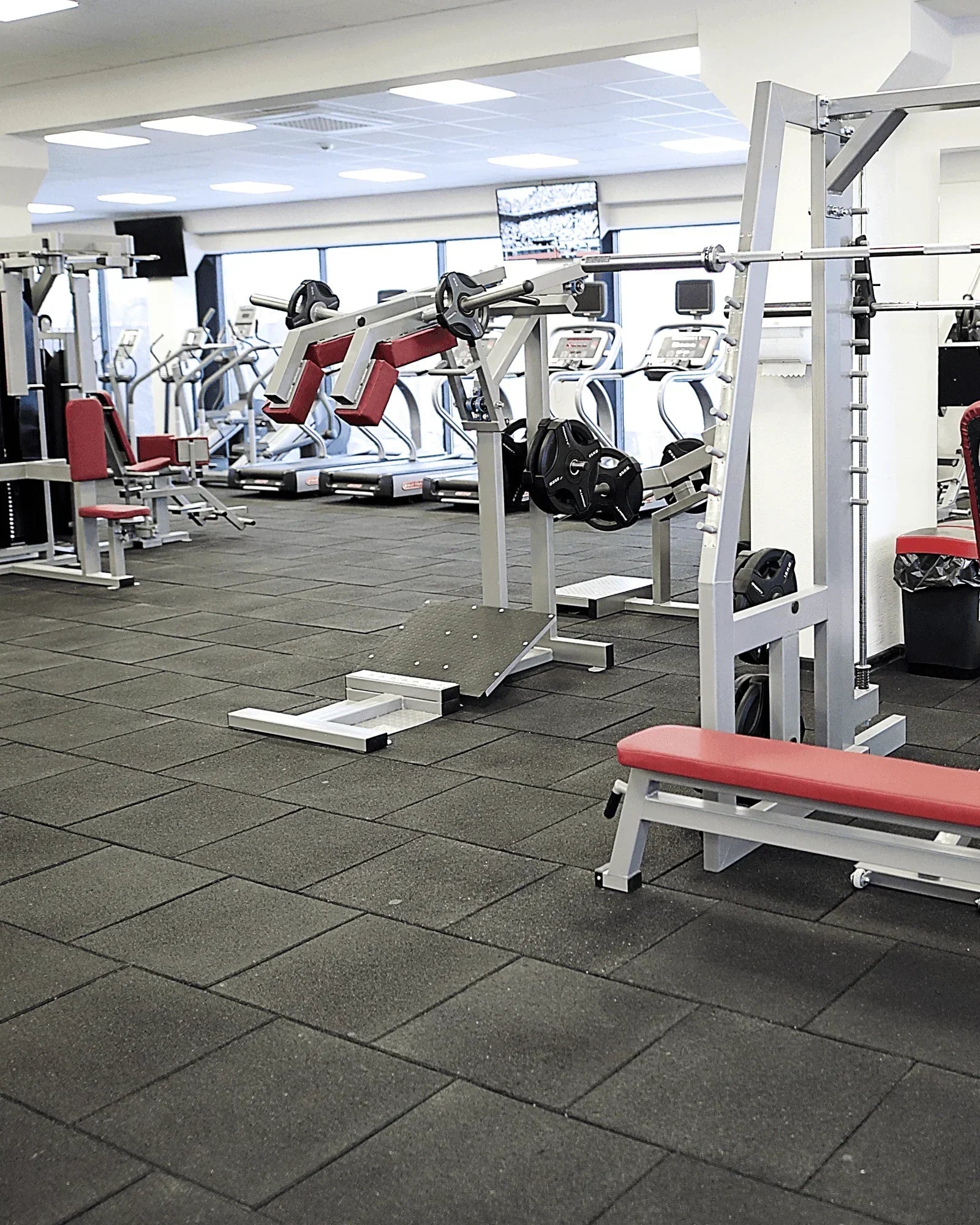 Jõusaali kummi plaadid - Trenniekspert