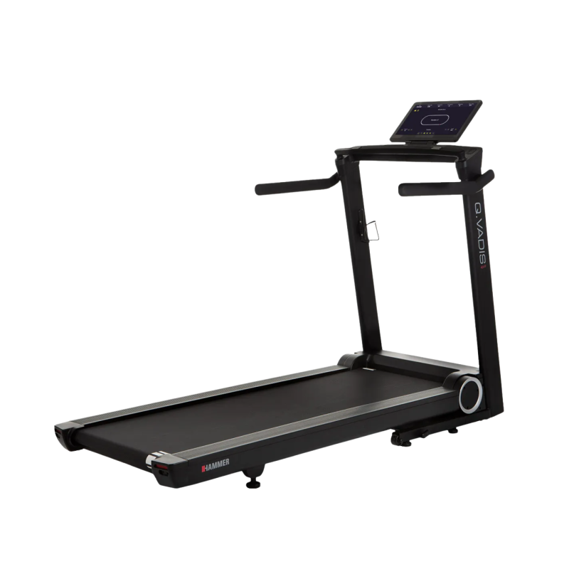 Jooksulint HAMMER Q. VADIS 10.0 - Trenniekspert